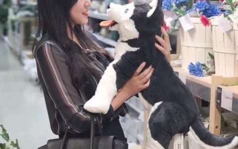 如何评价电影《后来的我们》