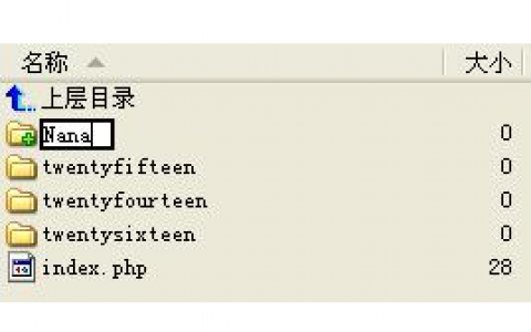 如何升级安装WordPress新主题，保留源文件完整