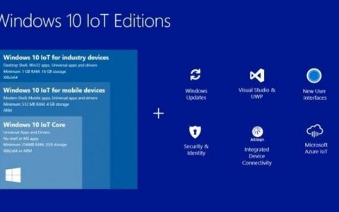 Windows 10 IOT Enterprise LTSC 2019英文版镜像下载
