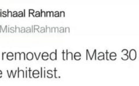 谷歌宣布将华为Mate30 Pro从白名单中移除，鸿蒙系统何时才能登场