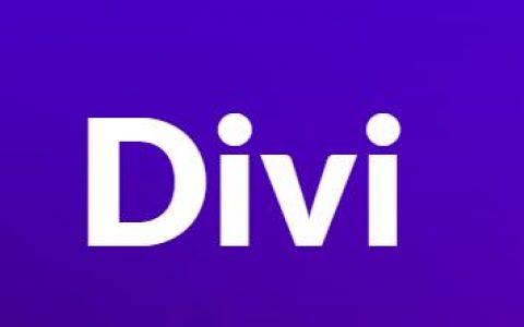 WordPress Divi主题设置完整教程（转载）