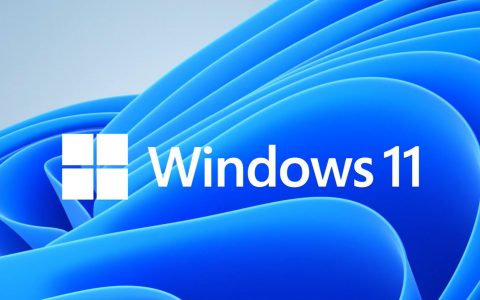 win11_chinese(simplified)_x64.iso简体中文版官方下载资源