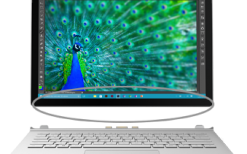 Surface Book Windows 10 Pro Version 20H2 恢复镜像