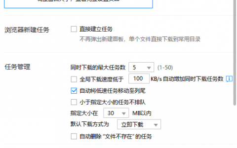 迅雷极简绿色版9.1.37.846，体积小，速度快的下载工具