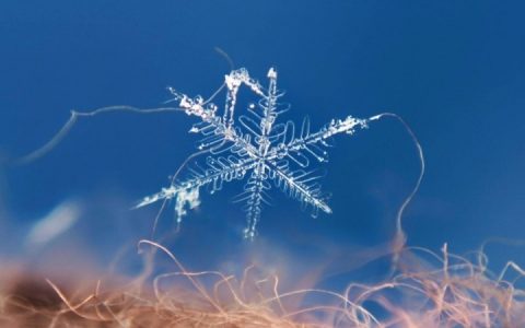 微距下晶莹剔透的雪花，美丽而梦幻，是不是也羡慕不已？
