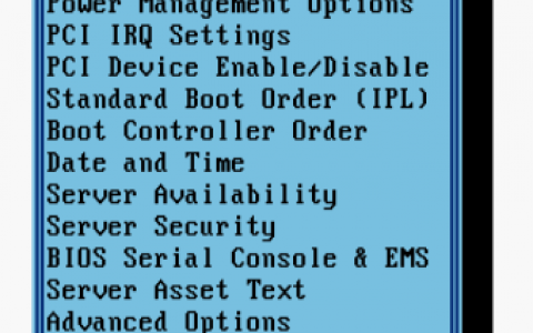 HP MicroServer Gen8 Bios中文注释大全