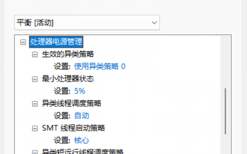 英特尔12代和13代CPU开启隐藏选项在电源选项设置处理器电源管理方法