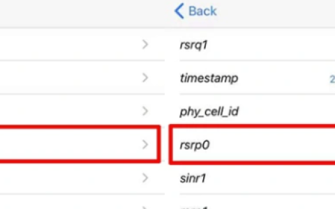 苹果iPhone手机辐射量的查询方法，教你如何查信号强度