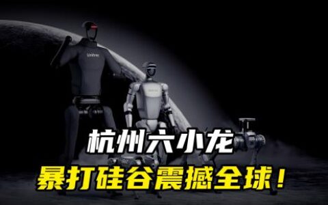 杭州六小龙为何能崛起，成为前沿影响力和创新实力的科技企业