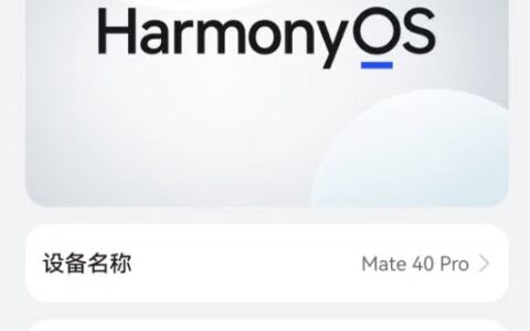 华为手机mate40pro系统降级到鸿蒙3.0.312，如何禁用系统自动更新和每天弹出提示升级的解决方法