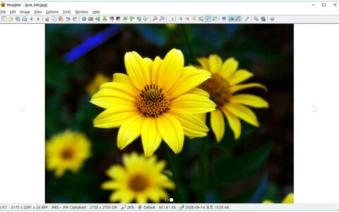 Imagine v2.4.1图片浏览器，支持无损压缩的简体中文开源图片处理软件