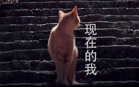 「文案」现在的我，身后空无一人