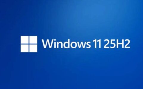 【MSDN】Windows 11 25H2消费者版、商业版、ARM64、专业中文版、家庭中文版26200.6584简体中文版初始官方镜像资源