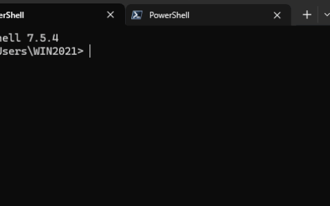 Windows 10 LTSC 2021实现PowerShell多开窗口的方法