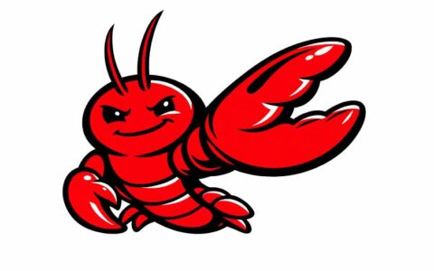 OpenClaw用户自定义技能skills备份和恢复方法